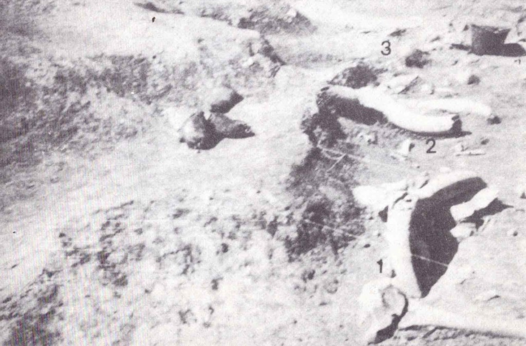 CASTEL DI GUIDO - PRIMA DELLA STORIA- Suolo di abitazione con tre crani di Bos primigenius rinvnuti nel corso della quinta campagna di scavi