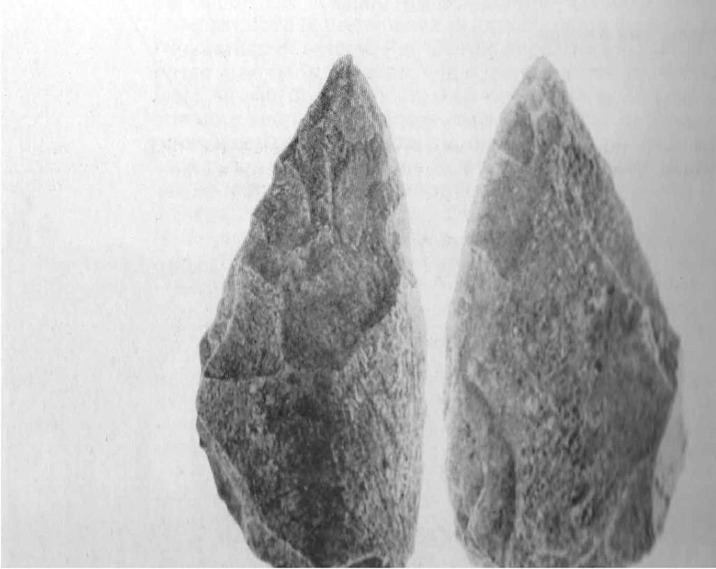 CASTEL DI GUIDO - PRIMA DELLA STORIA- Bifacciale in osso rinvenuto nel corso degli scavi del 1982