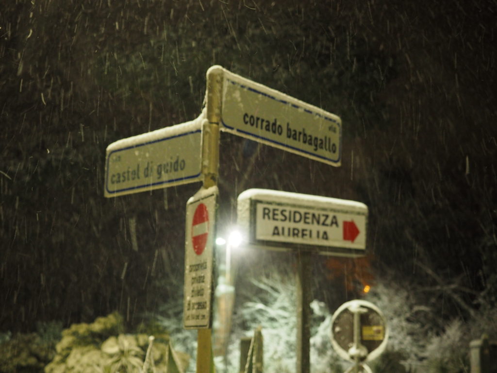 Fotoreportage di Franco Leggeri- Roma Municipio XIII- "-Neve a Castel di Guido - Residenza Aurelia 26 febb 2018