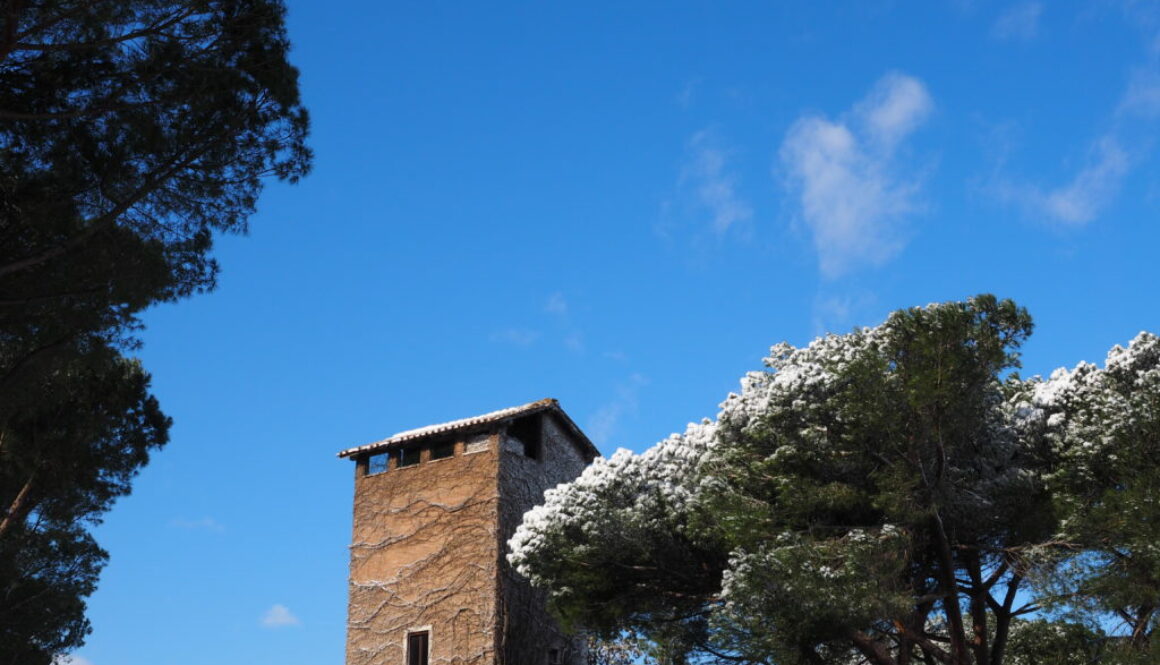 Neve a Castel di Guido - Residenza Aurelia -LA TORRE--ore 8:30 del 26 febb 2018