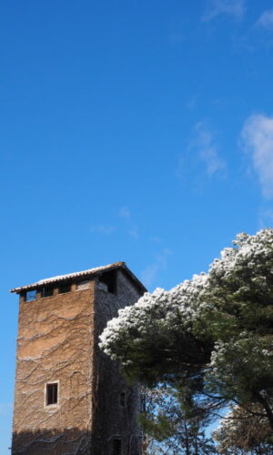 Neve a Castel di Guido - Residenza Aurelia -LA TORRE--ore 8:30 del 26 febb 2018