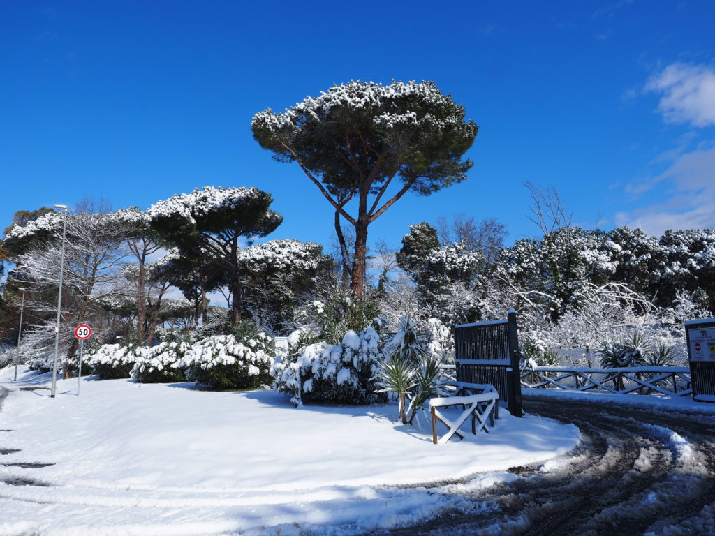 Neve a Castel di Guido - Residenza Aurelia --ore 8:30 del 26 febb 2018