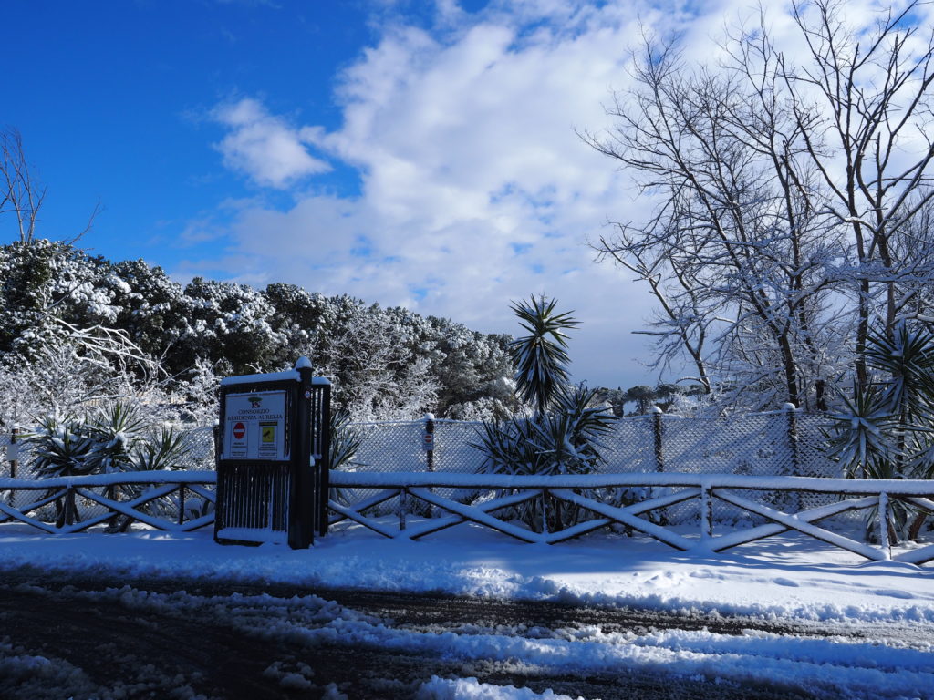 Neve a Castel di Guido - Residenza Aurelia --ore 8:30 del 26 febb 2018