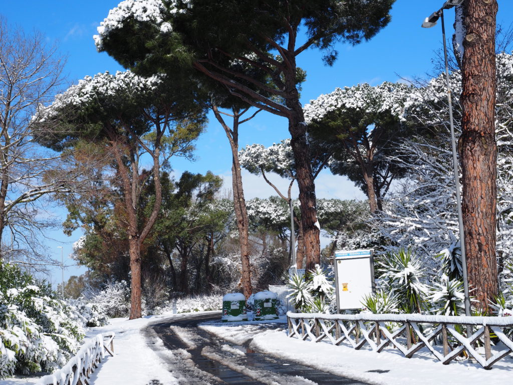 Neve a Castel di Guido - Residenza Aurelia --ore 8:30 del 26 febb 2018