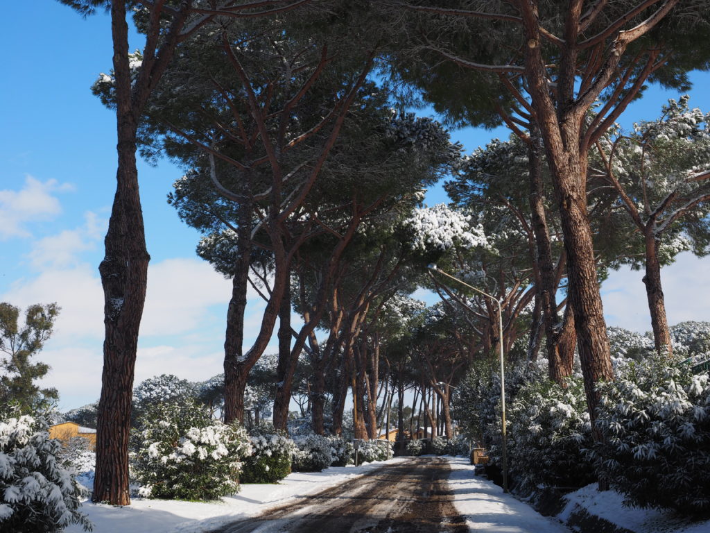 Neve a Castel di Guido - Residenza Aurelia --ore 8:30 del 26 febb 2018