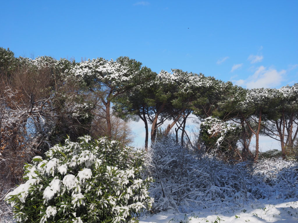 Neve a Castel di Guido - Residenza Aurelia --ore 8:30 del 26 febb 2018