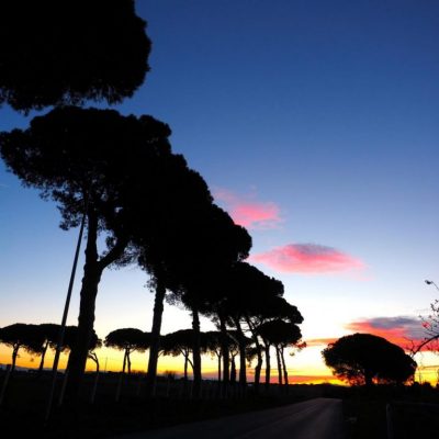 Foto di Franco Leggeri- Campagna Romana Viale dei pini Torre della BOTTACCIA-