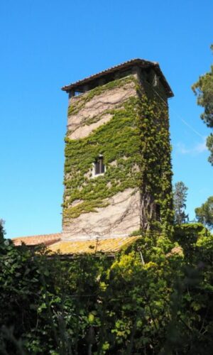 Franco Leggeri-Fotoreportage-ROMA -Torre Aurelia