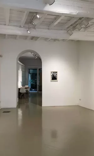 Roma la galleria d’Arte Contemporanea di Francesca Antonini-Artista Andrea Fontanari