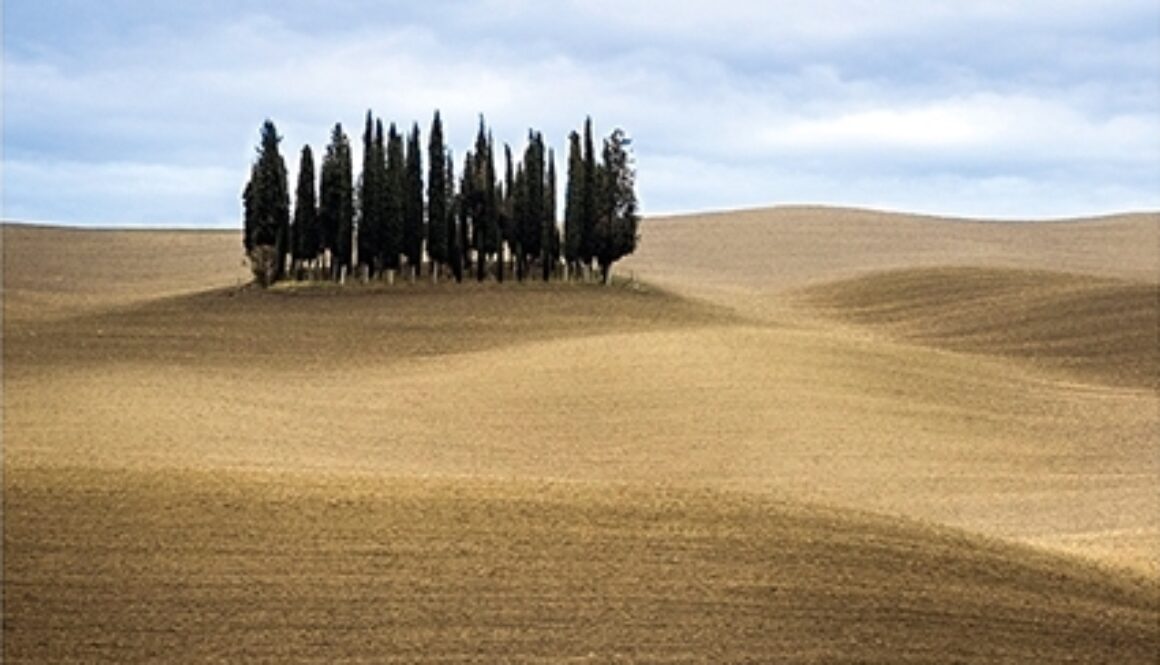 Luciano Valentini- Cipressi sulle colline-