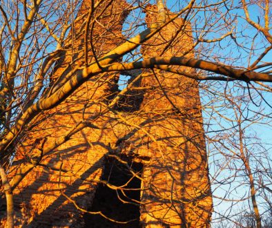 ROMA- Municipio XIII- Castel di Guido, Torre della Bottaccia